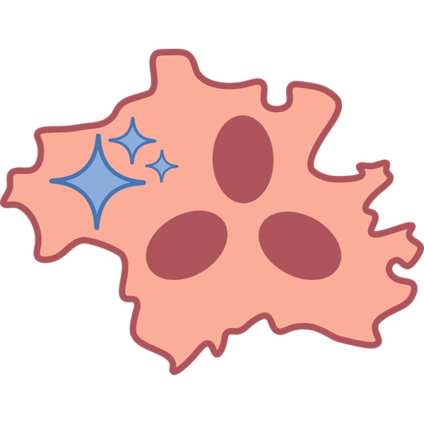 Munich Center for Computational Pathology logo
